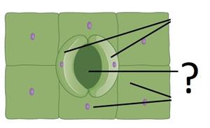 Screenshot 2021-04-22 173259.jpg