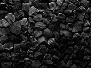 shutterstock1282880224 carbon.jpg