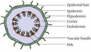 Screenshot 2021-06-05 223718.jpg