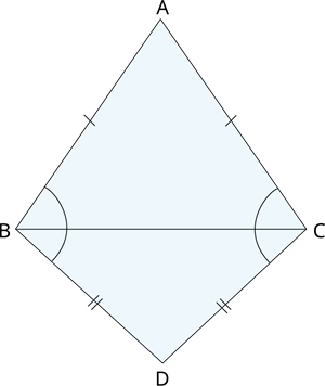 YCIND_241124_6816_20.png