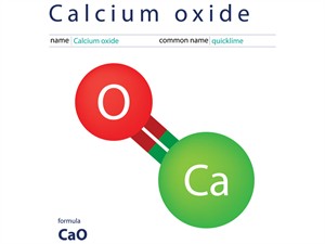 shutterstock1813601428 cao.jpg