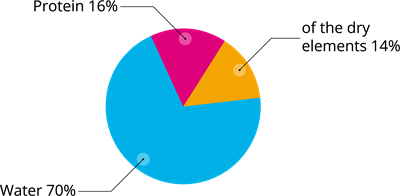 YCIND_240603_6327_Data Handling_17.png