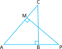 YCIND_240214_6037_a_41.png
