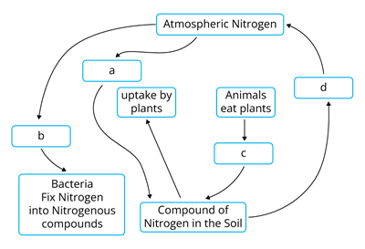 YCIND_231103_5708_CBSE _8th_5.png