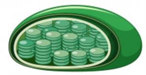 BeFunkycollage11 (11).jpg