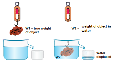 Screenshot 2021-05-19 194111.png