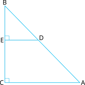 YCIND_240528_6312_CBSE10_circle_2.png