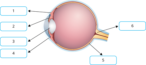 YCIND_230224_5052_Light_CBSE 8th_8.png