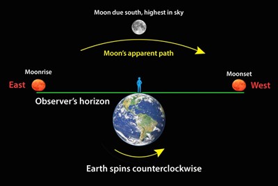 moonrisedownload (63).jpeg