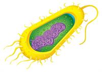 shutterstock_177302135.jpg
