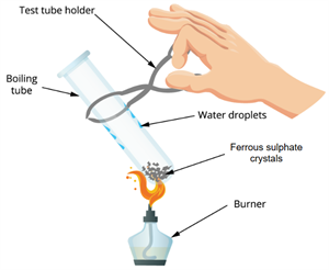 Screenshot 2025-11-22 125733.png