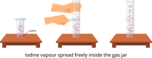 YCIND_260218_7999_iodine_experiment.png