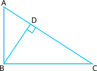 YCIND_240215_6037_a_83.png
