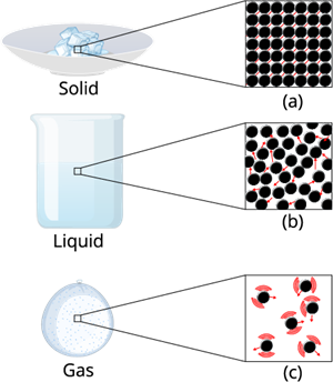 YCIND2304204 inter.png