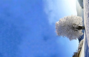 WhatsApp Image 2025-12-17 at 12.41.58.jpeg