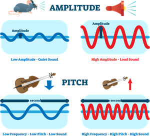 shutterstock1696609963w970 (1).png