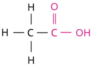 Screenshot 2025-12-19 124223.png