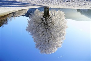 WhatsApp Image 2025-12-17 at 11.11.50 (1).jpeg