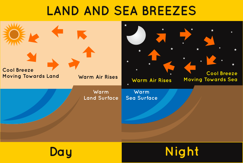 LandandSeaBreezes.gif