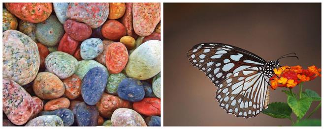 BeFunky-collage (7).jpg