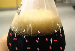 CNX_Chem_13_01_SuperSat gas bubbles.jpg