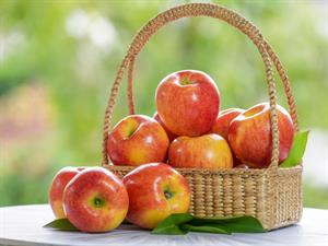 Shutterstock_2117757365_apples in basket.jpg