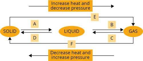 YCIND2209264498carbon7.png