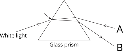YCIND_241114_6773_1.png