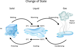 YCIND2304135173changeofstate (1).png