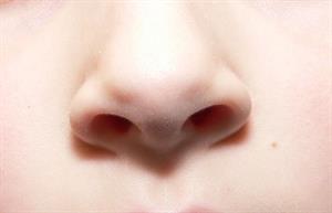 human nose.jpg