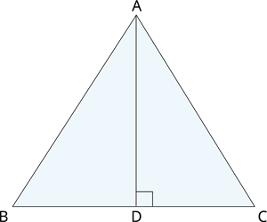 YCIND_241124_6816_17.png